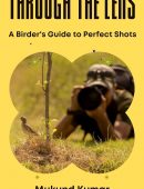 Through the Lens: A Birder's Guide to Perfect Shots