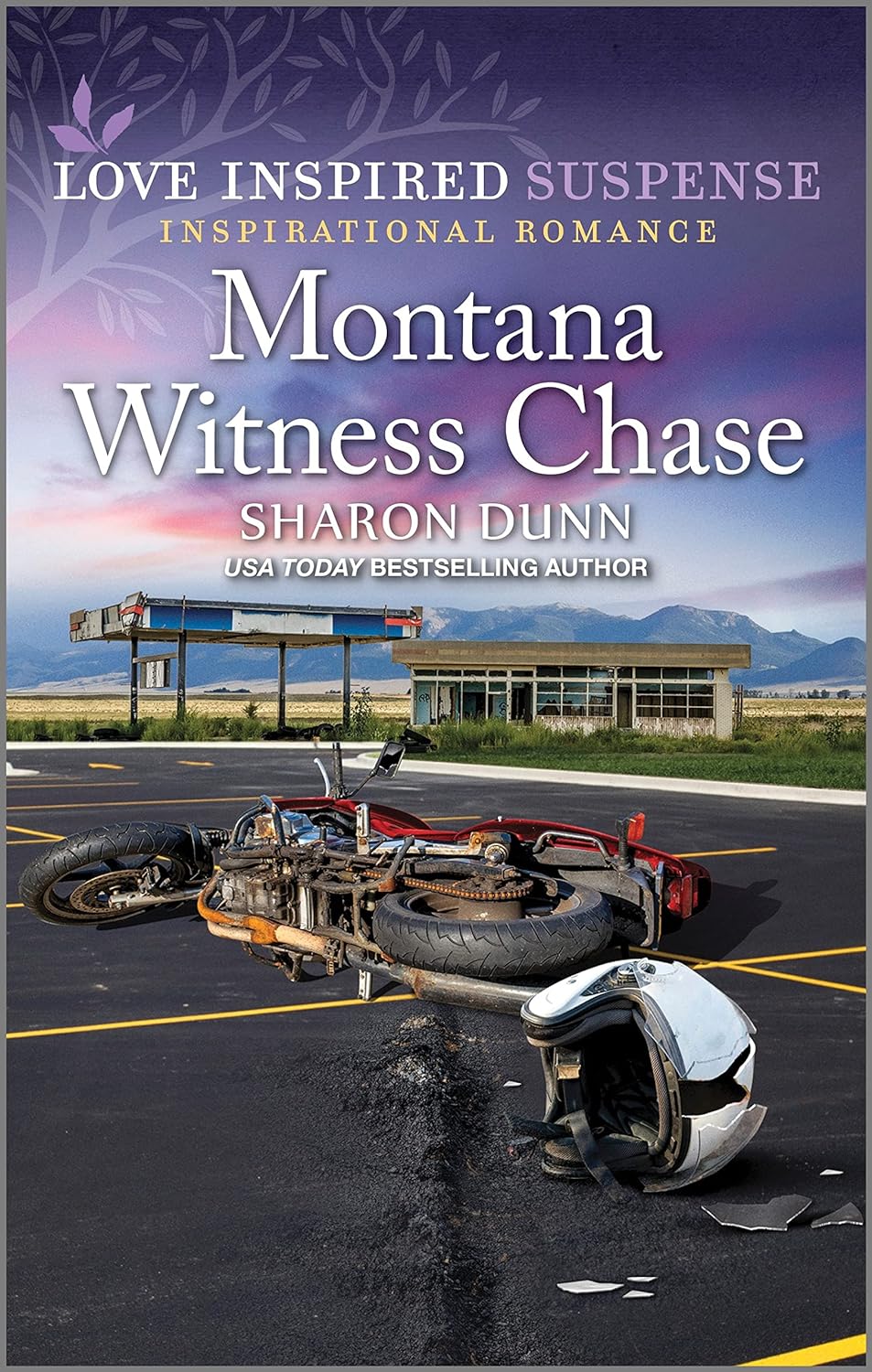 Montana Witness Chase (Love Inspired Suspense)