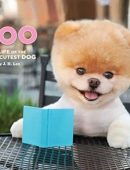 Boo: The Life of the World's Cutest Dog (Halloween Books for Kids, Halloween Books for Toddlers, Cute Halloween Stories)
