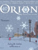 Orion – 11 November 2022
