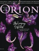 Orion – 10 February 2023